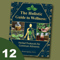 Tile labeled #12 featuring the book The Holistic Guide to Wellness; click to get deal.